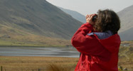 Volunteer looking through binoculars