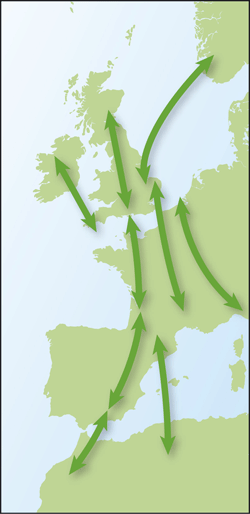 Ring Ouzel migration, from 