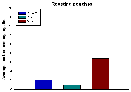 Average number of birds roosting together from direct observations of roosting pouches