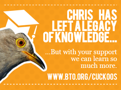 Chris the Cuckoo has taught us a lot - but with your support we can learn so much more