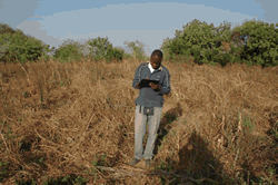 African fieldwork