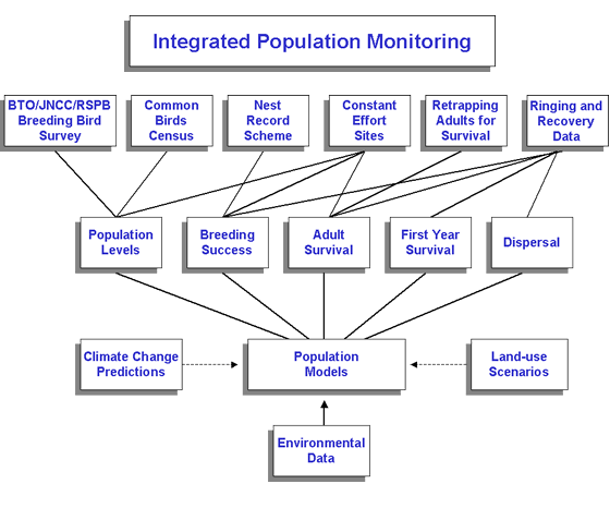 IPM chart