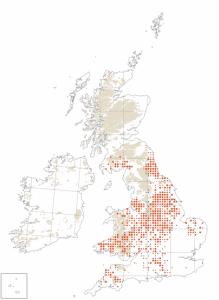Breeding distribution of Willow Tit during the breeding-seasons of 2008 to 2011