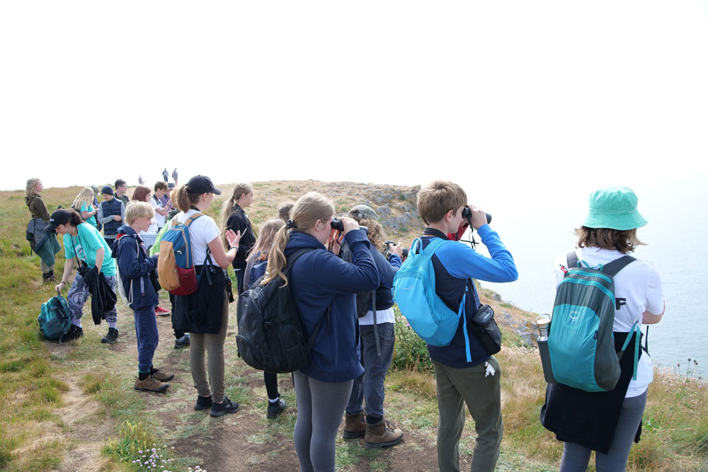 Wales Bird Campers at Stack Rocks, watching seabirds.