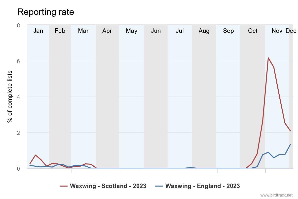 The BirdTrack reporting rate for Waxwing shows decreasing records in Scotland over the last few weeks, while records in England increased. This pattern reflects the birds' movements south in search of food and warmer temperatures.