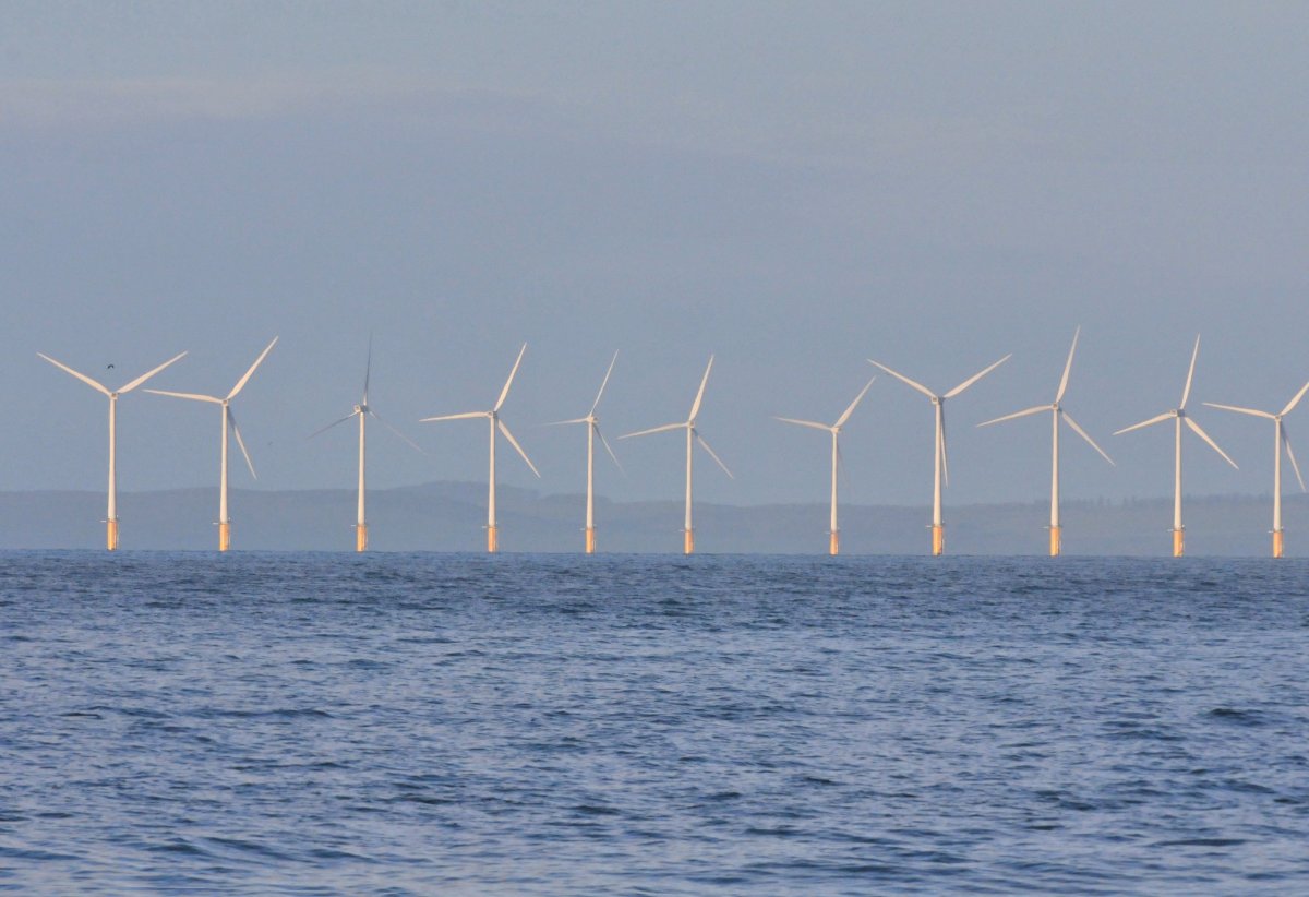 Wind farm, photograph by Tommy Holden